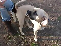 Chinese Sex Videos 93